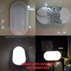 Lampu Dinding Ball Ice Led 16 Watt Frosted