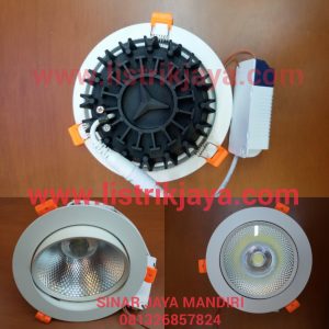 Downlight Led Spot 30 Watt COB