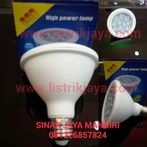 Lampu Par 30 Led 12 Mata Spot
