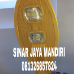 Lampu PJU Led Body Gold 100W
