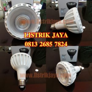 Lampu Led Par 30 20W COB