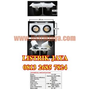 Downlight Adjustable 2 x 12W COB Bridgelux