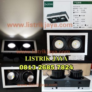 Downlight Adjustable Led 2 X 20 Watt NVC NLED5822D