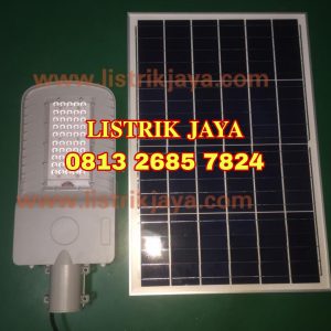 Lampu PJU LED Solar 50W Two In One